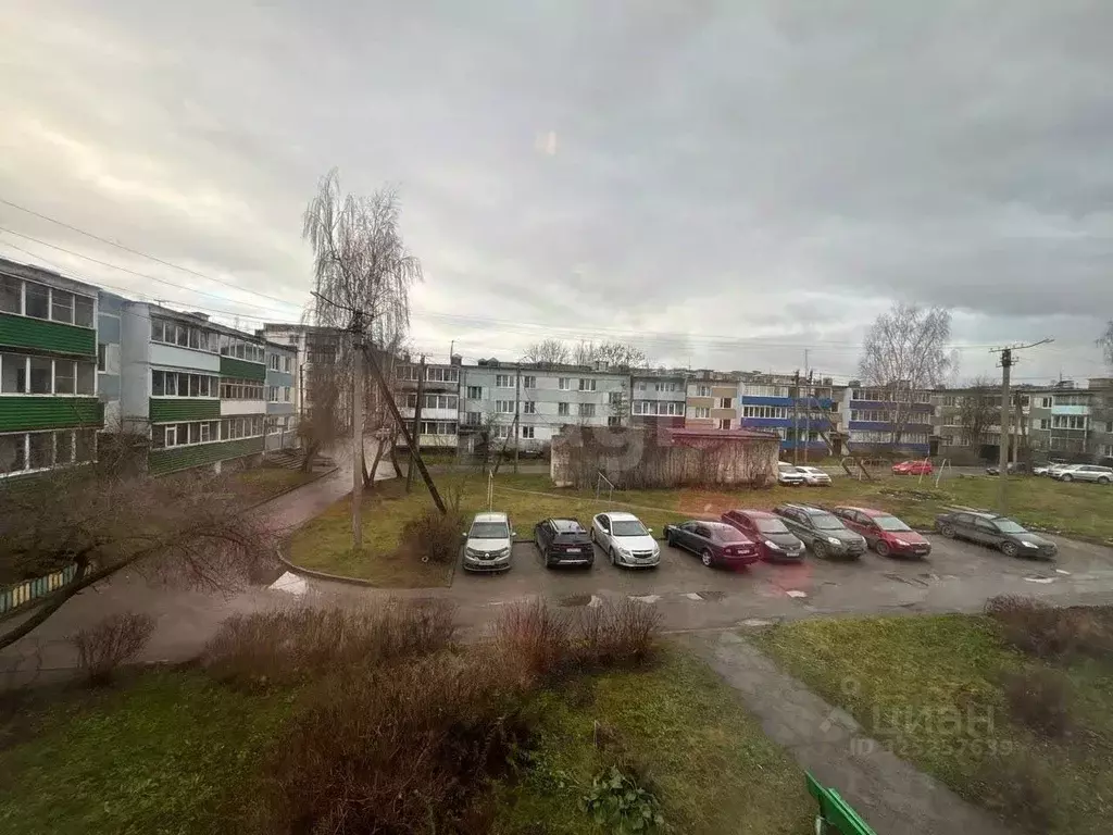 3-к кв. Псковская область, Остров Строитель мкр, 8 (58.4 м) - Фото 2