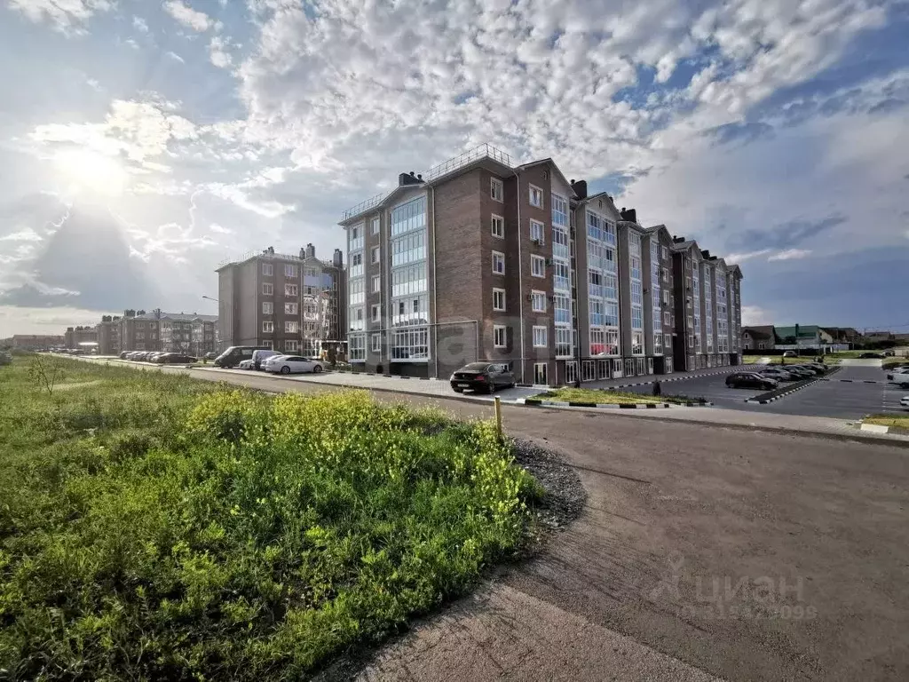 Офис в Белгородская область, Белгородский район, Северный городское ... - Фото 0