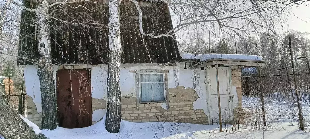 Участок в Челябинская область, Южноуральск ЮГРЭС садоводческий массив, ... - Фото 1