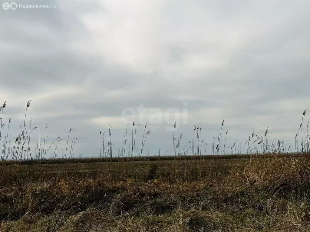 Участок в Энемское городское поселение, хутор Суповский (500 м) - Фото 2