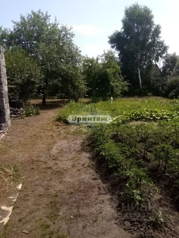 Участок в Курганская область, Белозерский муниципальный округ, ... - Фото 0