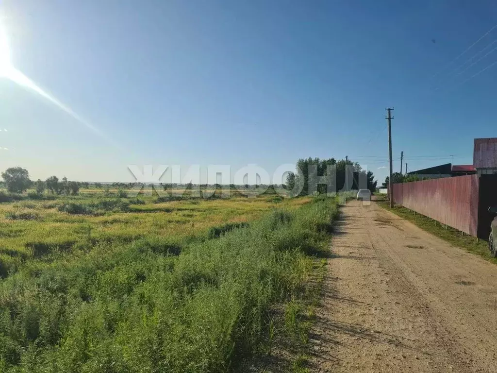 Участок в Амурская область, Благовещенский район, пос. Заречный ул. ... - Фото 2