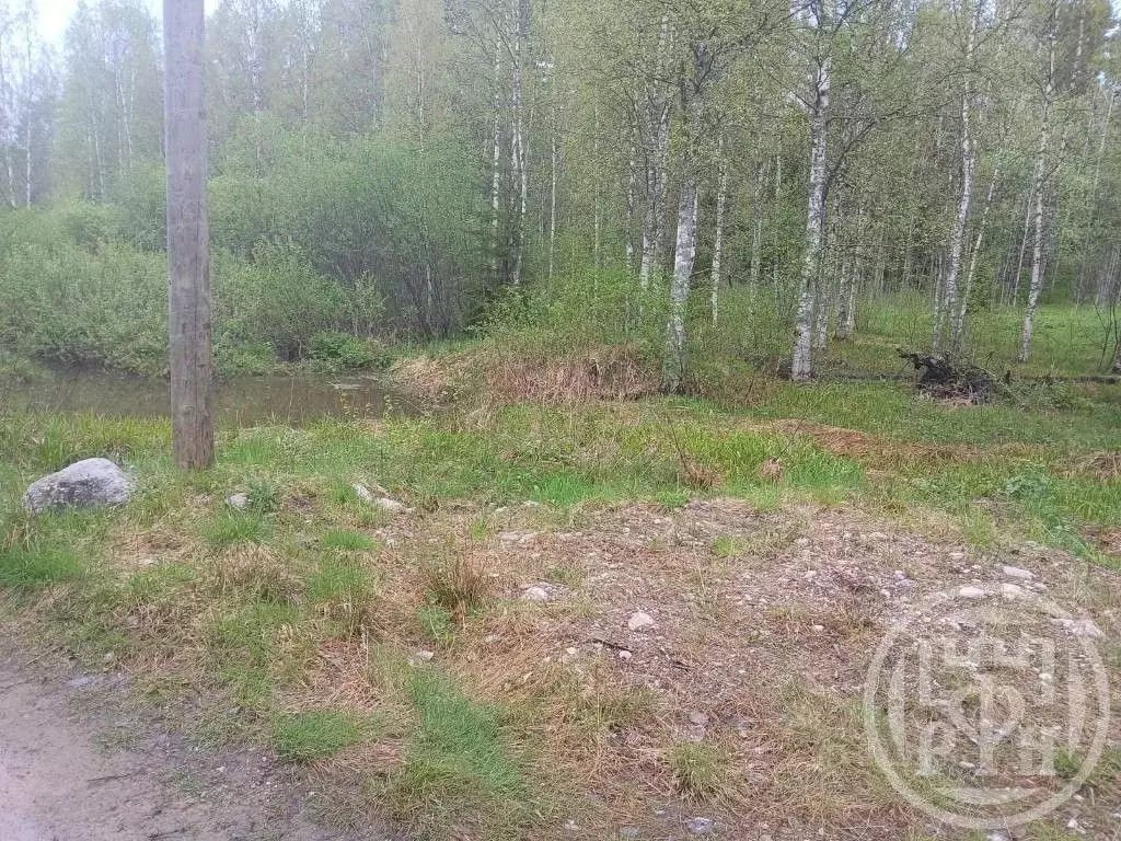 Участок в Ленинградская область, Приозерское городское поселение, пос. ... - Фото 2