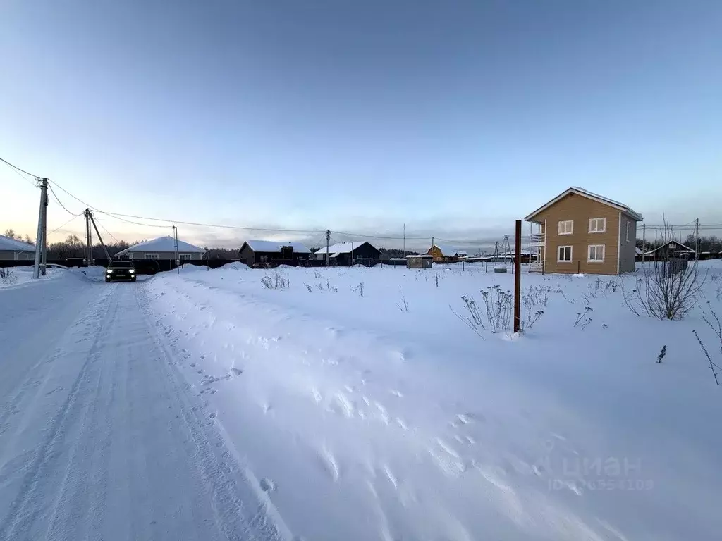 Участок в Московская область, Одинцовский городской округ, Матрешки ... - Фото 2