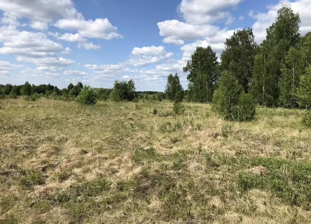 Участок в Свердловская область, Слободо-Туринский район, ... - Фото 2