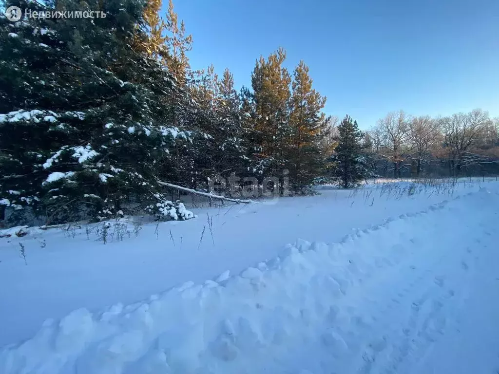 Участок в деревня Медовка, кп Изумрудный (19.1 м), Купить земельный участок  Медовка, Рамонский район, ID объекта - 20007100858