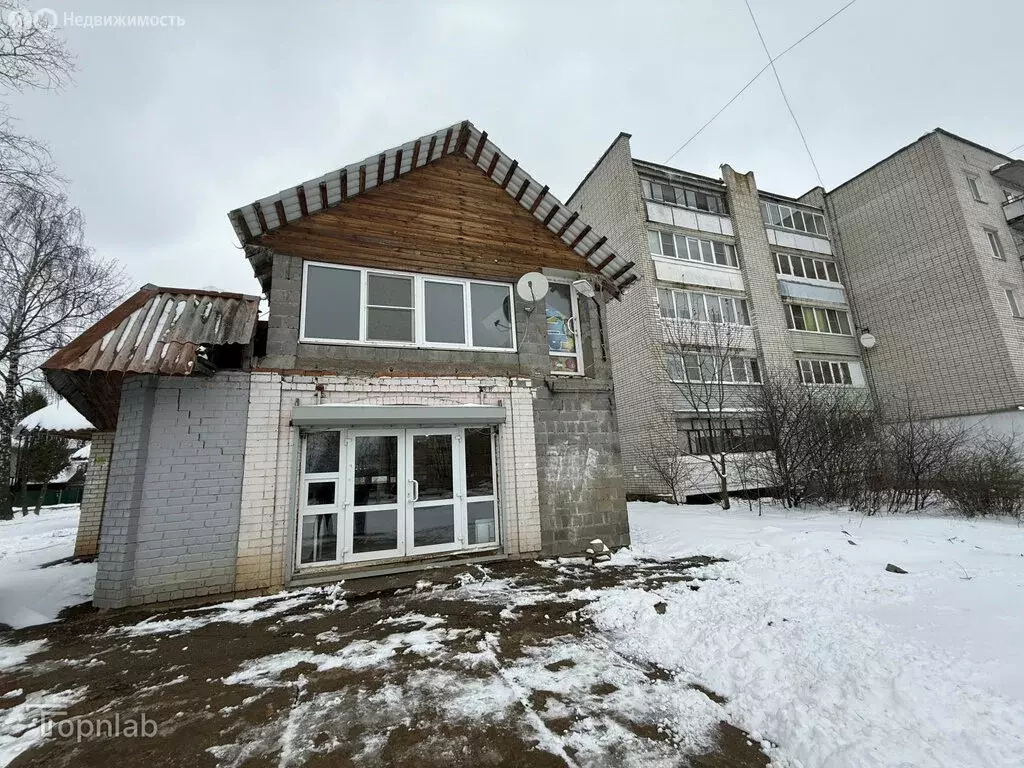 Торговая площадь (49.33 м) - Фото 2