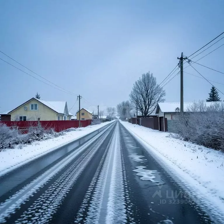 Участок в Ярославская область, Ярославский муниципальный округ, д. ... - Фото 2