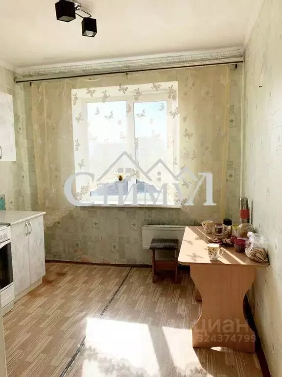 Студия Хакасия, Абакан ул. Крылова, 102 (41.0 м) - Фото 2