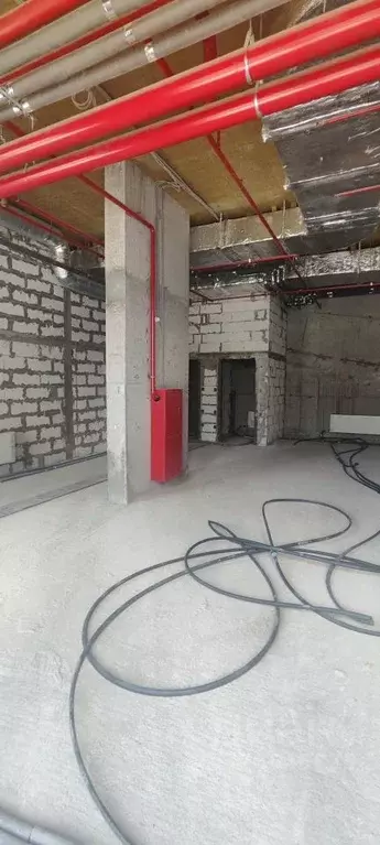 Помещение свободного назначения в Краснодарский край, Новороссийск ул. ... - Фото 2