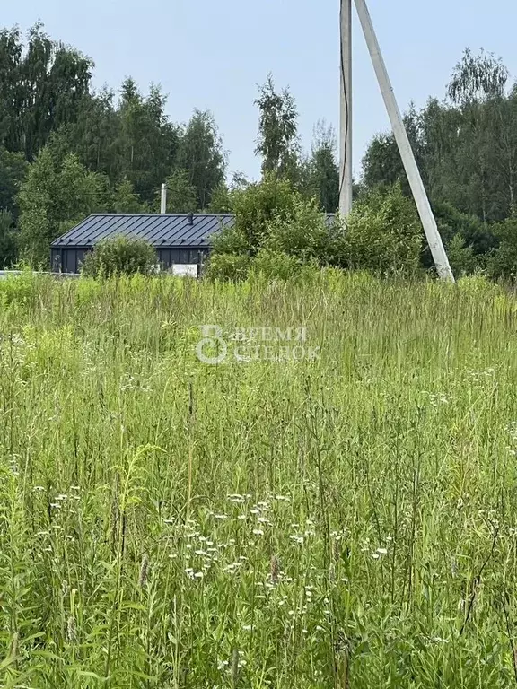 Участок 15 сот. (ИЖС) - Фото 0