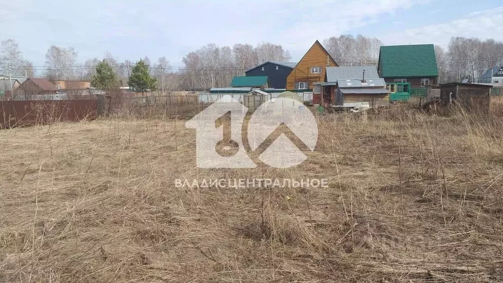 Участок в Новосибирская область, Новосибирский район, Раздольненский ... - Фото 1