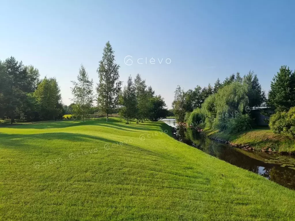 Участок в Ленинградская область, Лодейнопольский район, Доможировское ... - Фото 2