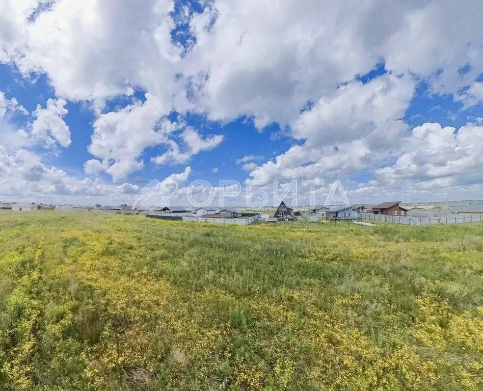 Участок в Тюменская область, Тюменский муниципальный округ, с. ... - Фото 1
