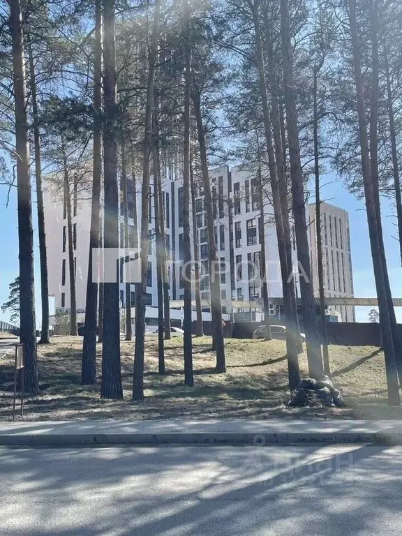 Студия Новосибирская область, Новосибирск Сухарная ул., 107/1 (28.6 м) - Фото 2