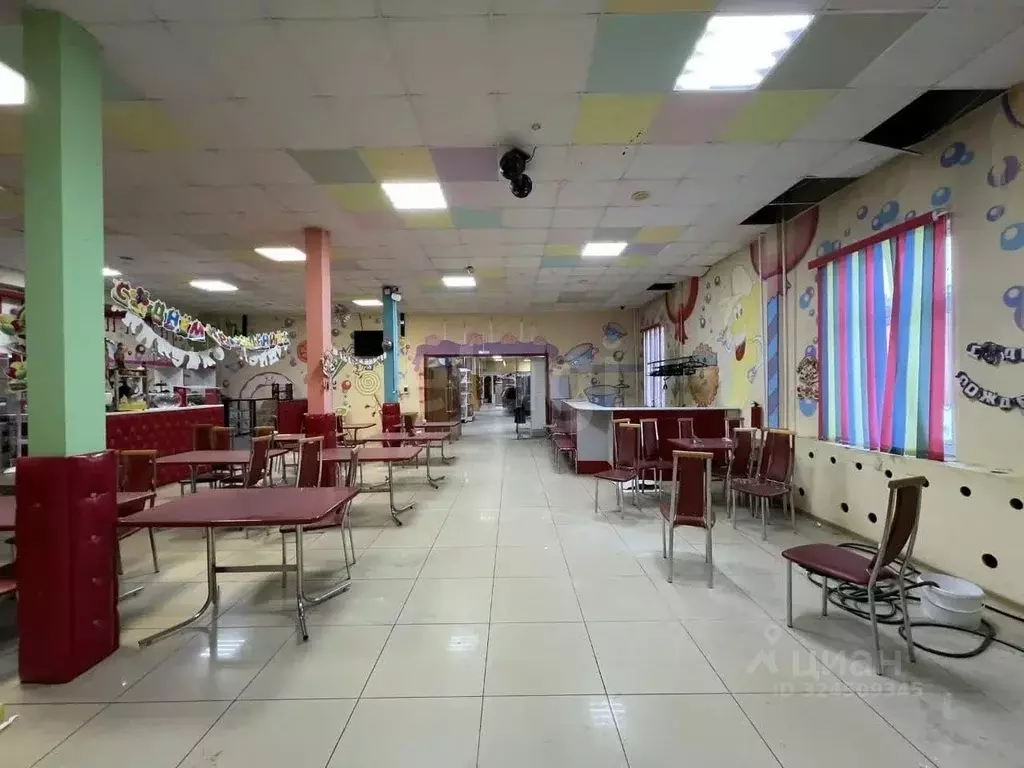 Помещение свободного назначения в Ямало-Ненецкий АО, Новый Уренгой ... - Фото 1