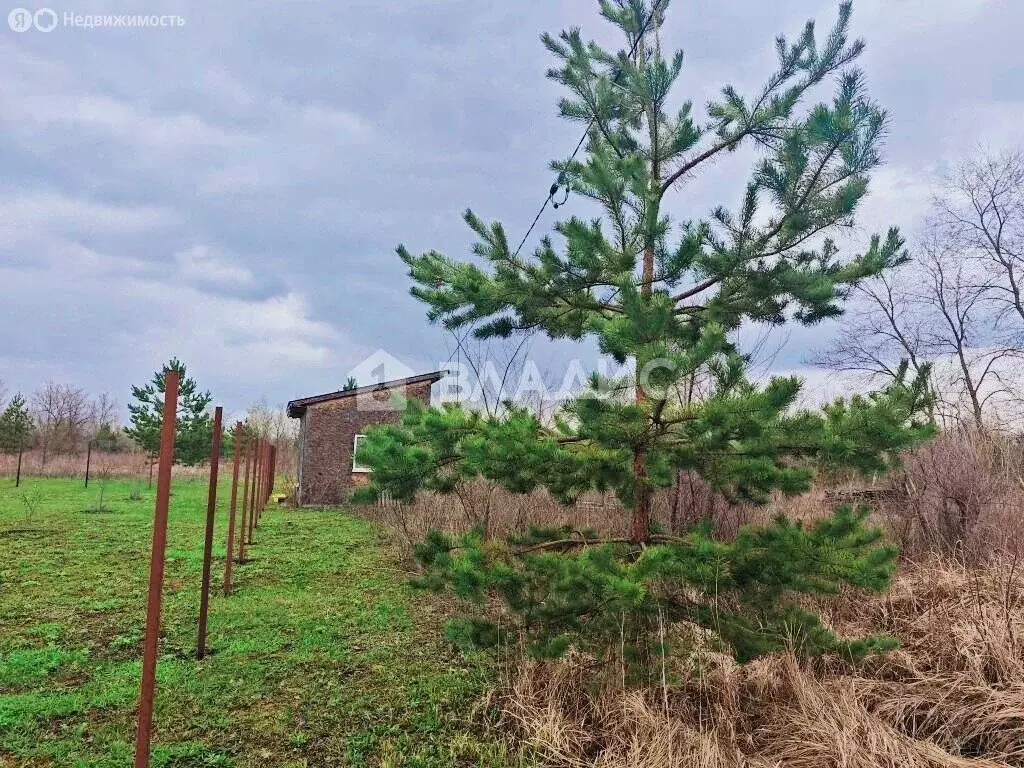 Участок в село Бабяково, Чернозёмная улица, 53 (10 м) - Фото 2