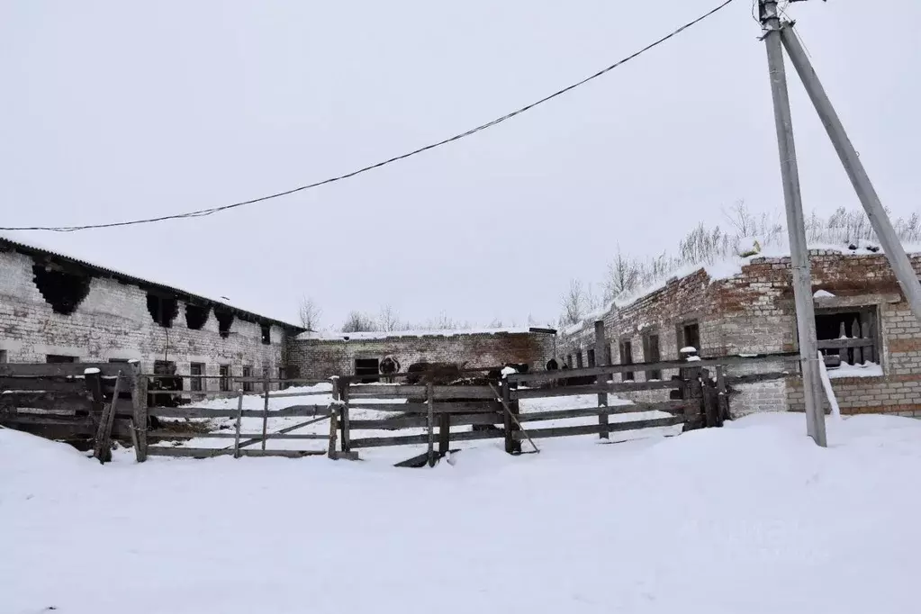 Помещение свободного назначения в Башкортостан, Кигинский район, с. ... - Фото 2