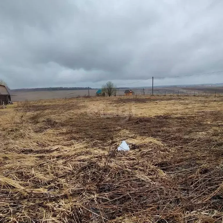 Участок в Вологодская область, Шелыгино-Посад СТ  (6.0 сот.) - Фото 2