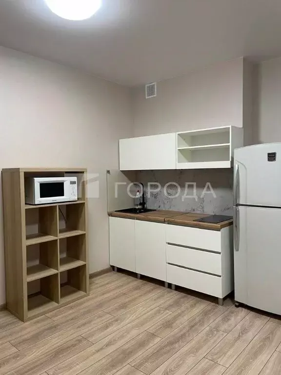 Студия Новосибирская область, Новосибирск Закаменский мкр, 16 (24.0 м) - Фото 1