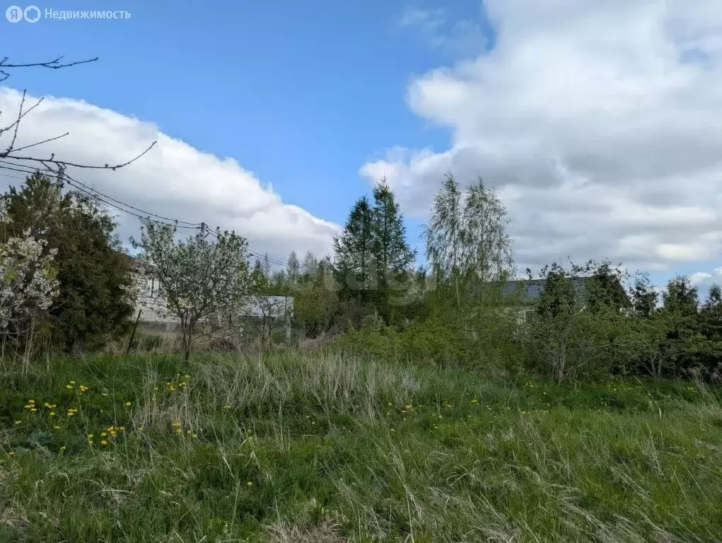 Участок в Пениковское сельское поселение, деревня Нижняя Бронна (6.5 ... - Фото 0