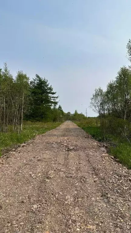 Участок в Сахалинская область, Анивский городской округ, с. Мицулевка  ... - Фото 0