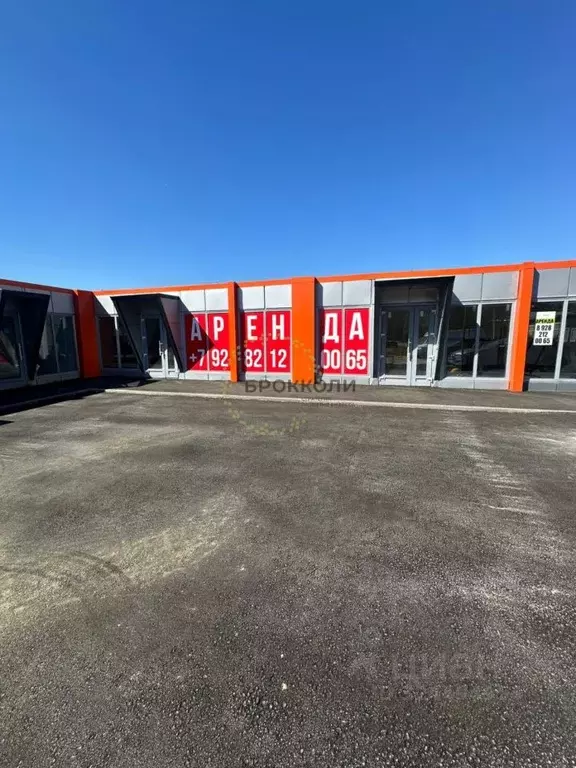 Торговая площадь в Волгоградская область, Волгоград ул. имени ... - Фото 1