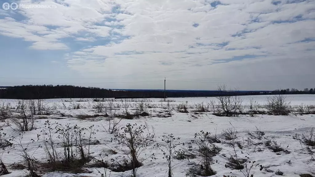 Участок в Нижегородская область, Лысковский муниципальный округ, ... - Фото 0