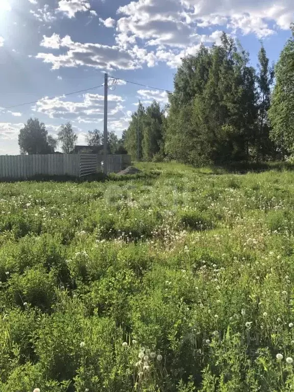 Участок в Брянская область, Брянский район, Нетьинское с/пос, Хотылево ... - Фото 0