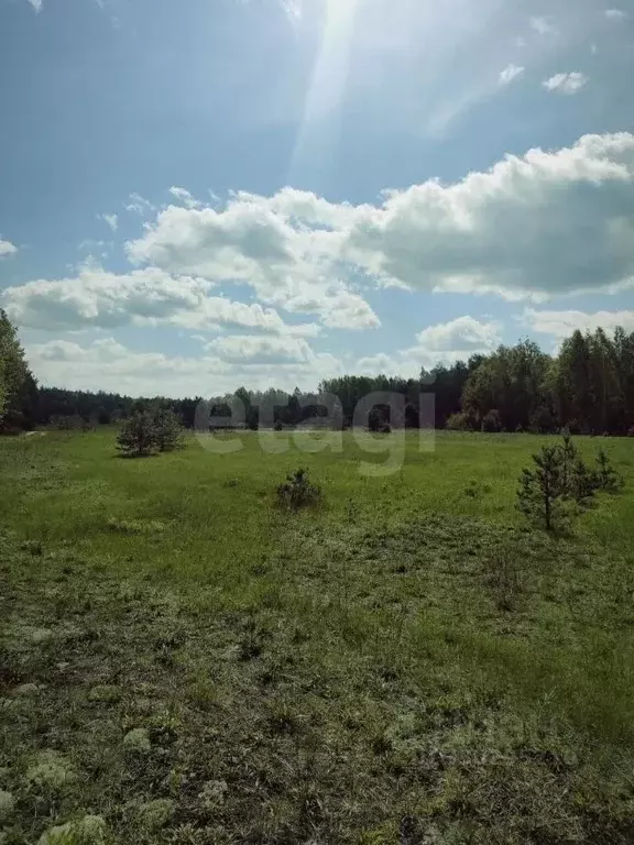 Участок в Нижегородская область, Навашинский муниципальный округ, с. ... - Фото 1