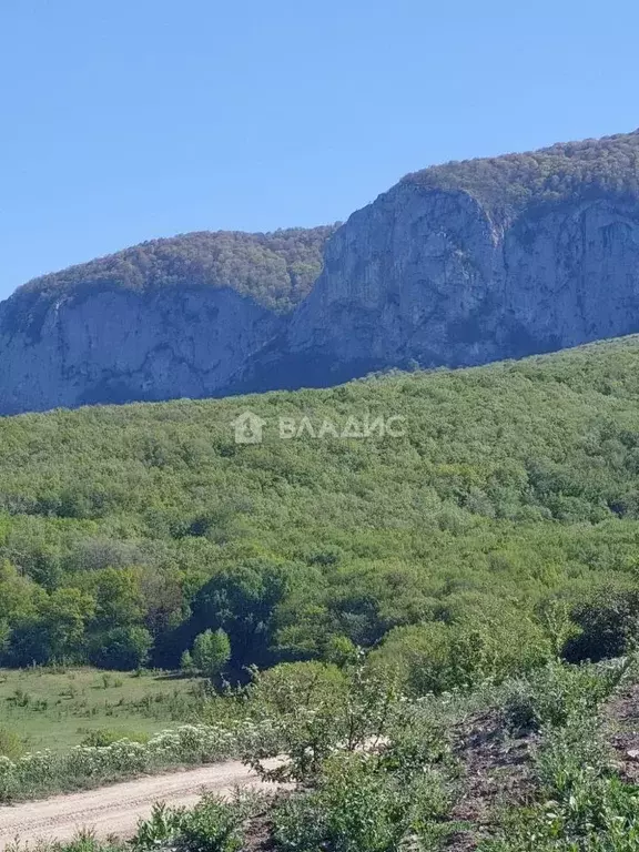 Участок в Крым, Бахчисарайский район, Голубинское с/пос, с. Соколиное  ... - Фото 1
