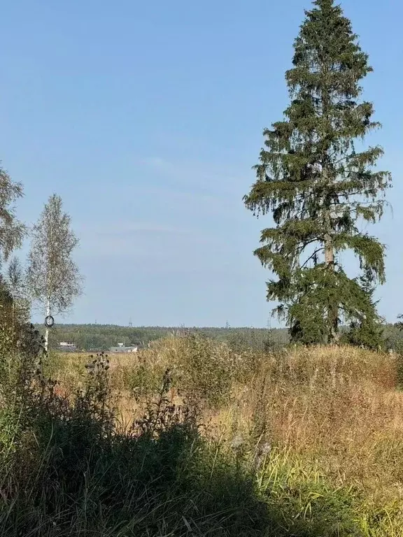 Участок в Ленинградская область, Выборг пер. 2-й Успешный (11.0 сот.) - Фото 0