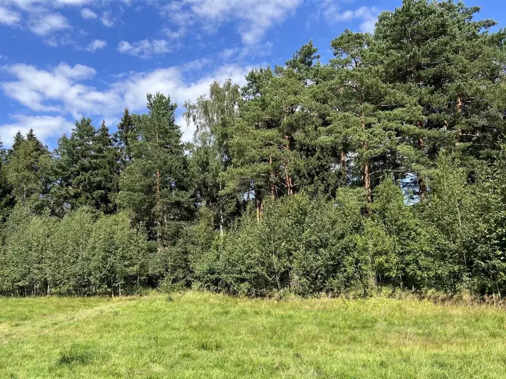 Участок в Московская область, Мытищи городской округ, д. Крюково ул. ... - Фото 2