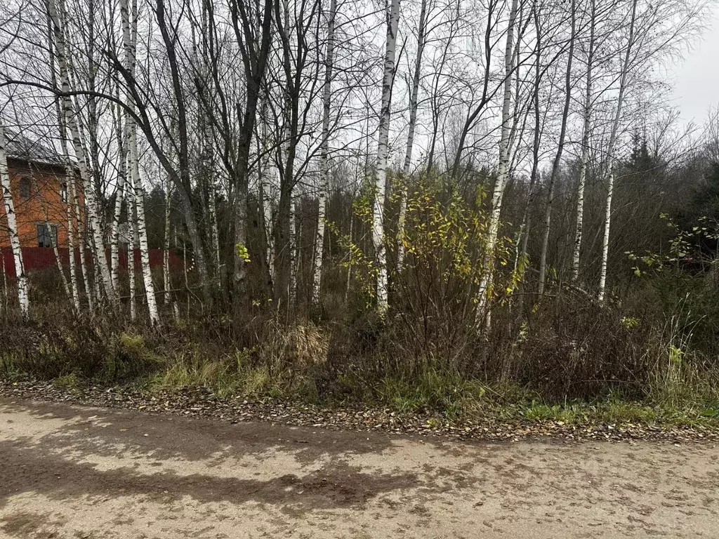 Участок в Московская область, Рузский муниципальный округ, с. ... - Фото 2