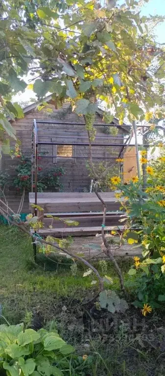 Дом в Нижегородская область, Володарский муниципальный округ, Надежда ... - Фото 2