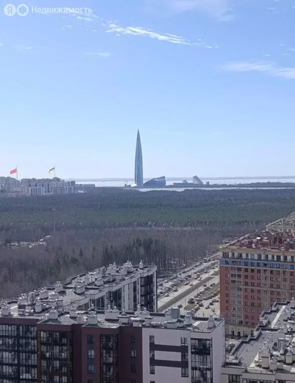 Квартира-студия: Санкт-Петербург, Плесецкая улица, 10 (21 м) - Фото 1