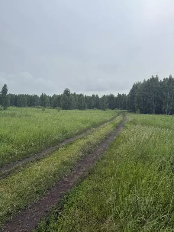 Участок в Челябинская область, Сосновский муниципальный округ, ... - Фото 1