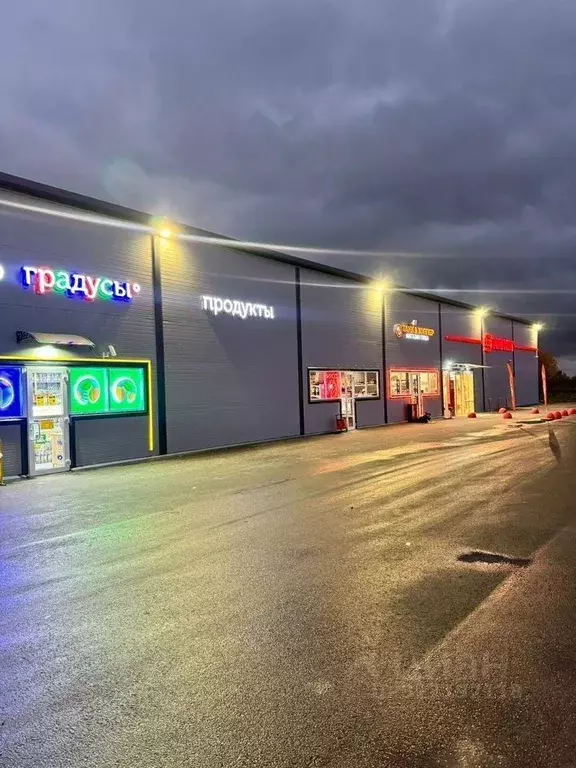 Помещение свободного назначения в Ленинградская область, Всеволожский ... - Фото 2