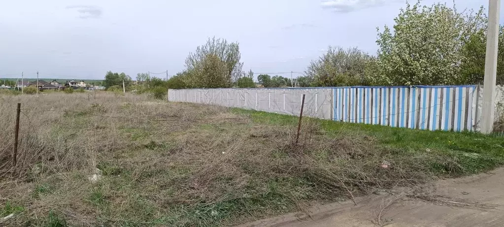 Участок в Воронежская область, Новоусманский район, Усманское 1-е ... - Фото 1