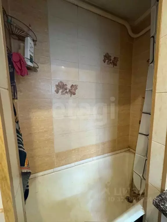 2-к кв. Брянская область, Брянск просп. Ленина, 6Б (29.5 м) - Фото 2