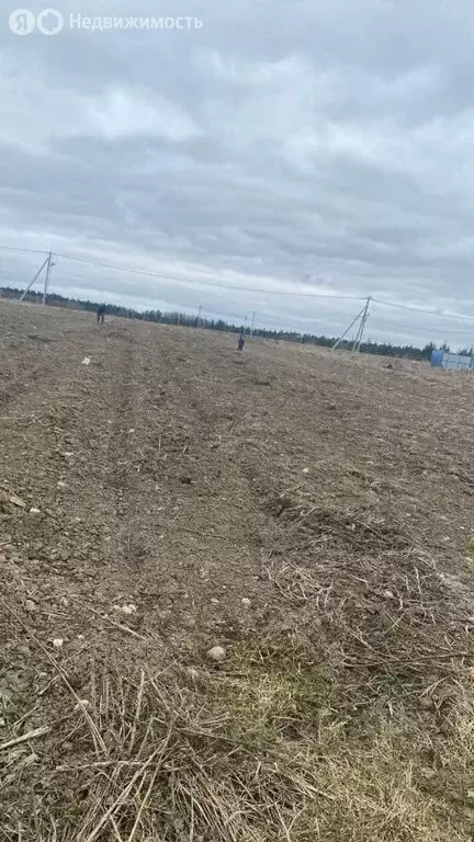 Участок в Ленинградская область, Гатчинский муниципальный округ, ... - Фото 0