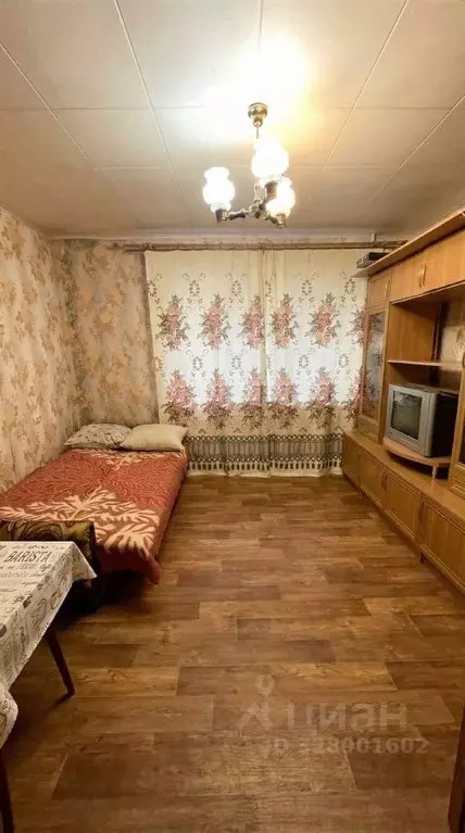 Студия Владимирская область, Ковров Восточная ул., 52/1 (18.3 м) - Фото 2