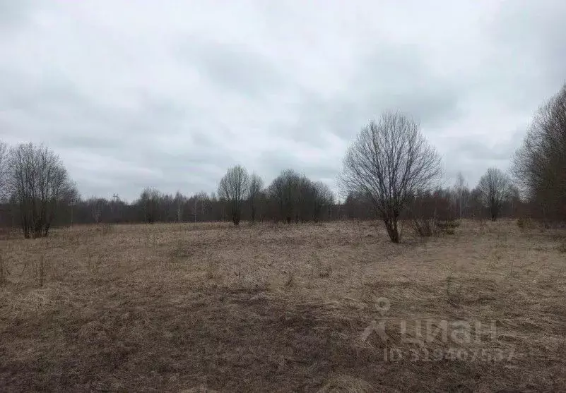 Участок в Московская область, Дмитровский муниципальный округ, д. ... - Фото 1