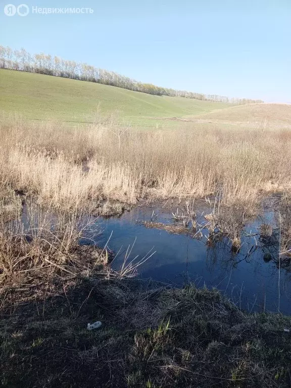 Участок в село Алтайское, Советская улица (100.92 м) - Фото 1