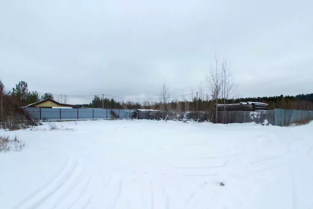 Участок в Ханты-Мансийский АО, Сургут Чернореченский садовое ... - Фото 1