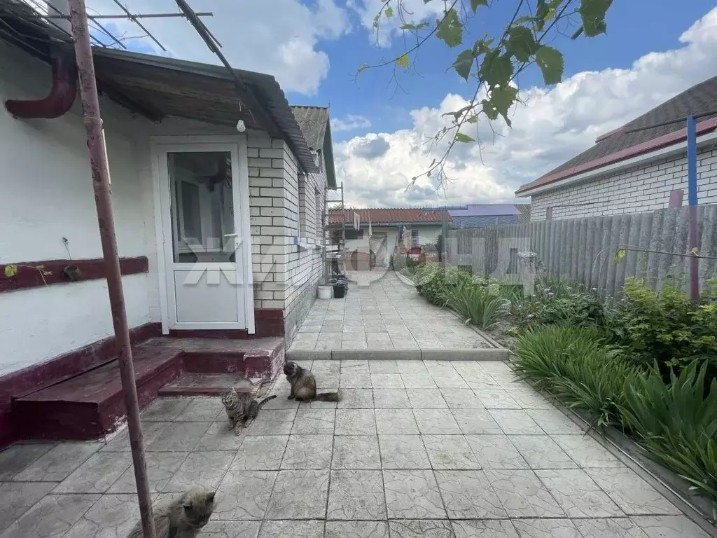 Дом в Белгородская область, Белгородский район, Новосадовское с/пос, ... - Фото 0