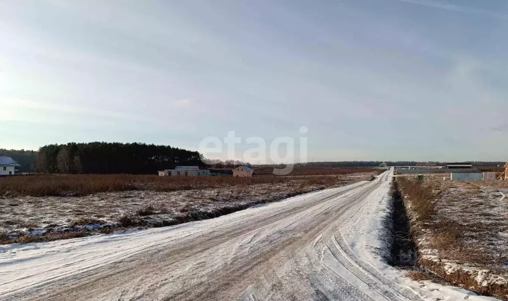 Участок в Московская область, Домодедово Барыбино СНТ, 122 (8.56 сот.) - Фото 1