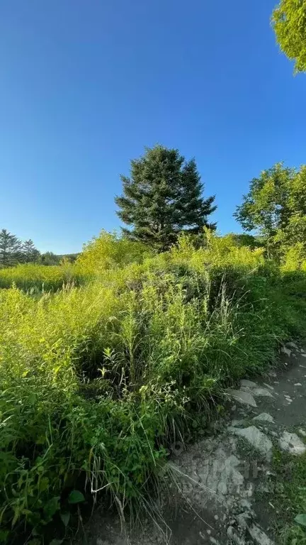 Участок в Приморский край, Надеждинский район, Абрикос СНТ  (6.0 сот.) - Фото 1