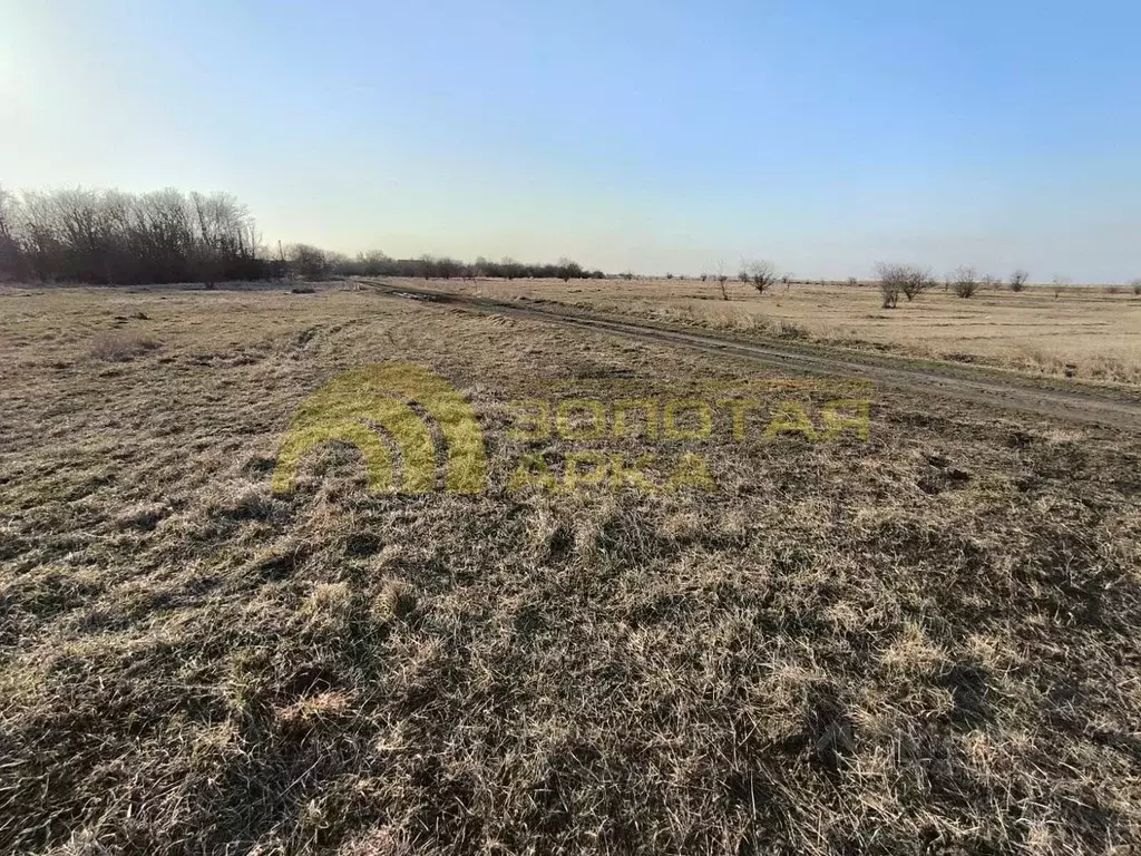 Участок в Краснодарский край, Славянский район, Анастасиевское с/пос, ... - Фото 1