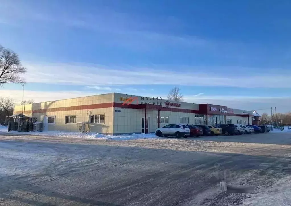 Торговая площадь в Московская область, Ступино городской округ, с. ... - Фото 2